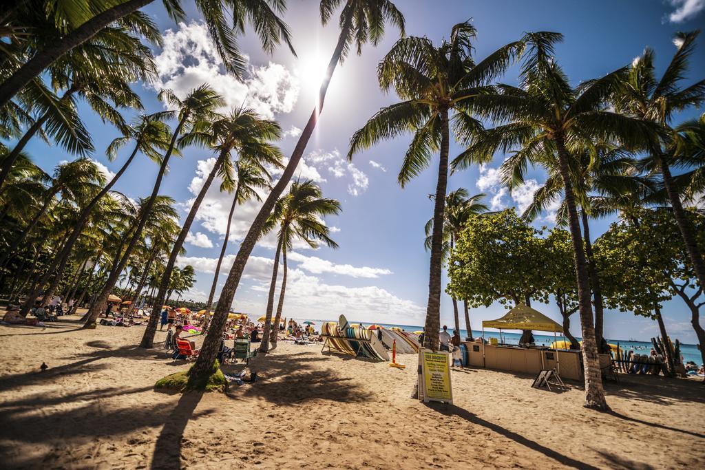 Mountain Views & Steps To Beach - Free Parking! Honolulu Luaran gambar