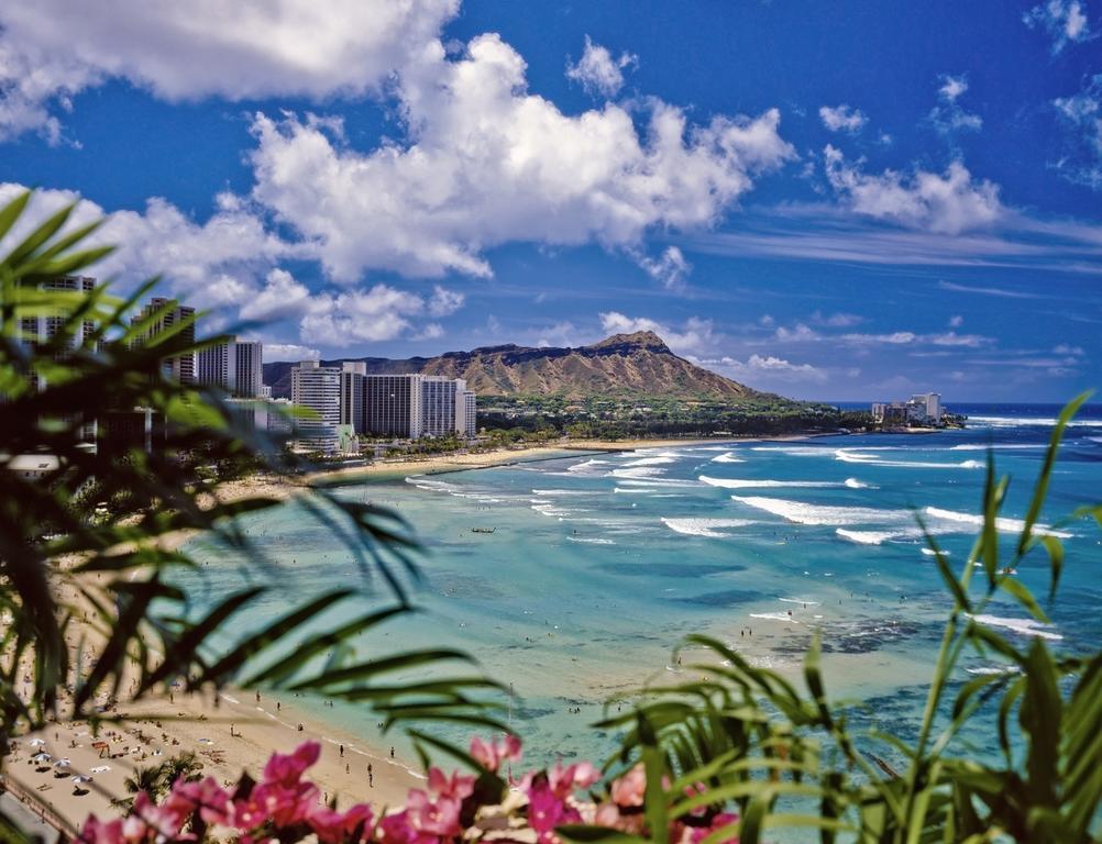 Mountain Views & Steps To Beach - Free Parking! Honolulu Luaran gambar